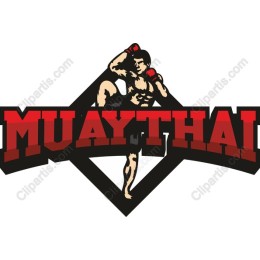 Dynamic Muay Thai Fighter