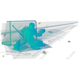 Dynamic Hockey Goalie