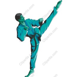 Dynamic Martial Artist Kick