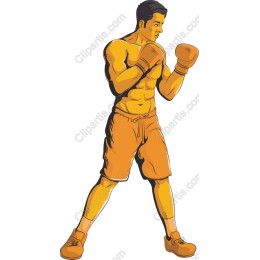 Energetic Boxer