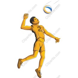 Dynamic Volleyball Player