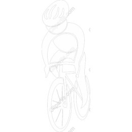 Dynamic Bicycle