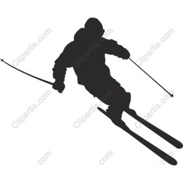 Dynamic Skier