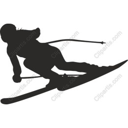 Dynamic Skier