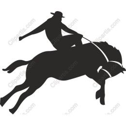 Cowboy Riding Horse