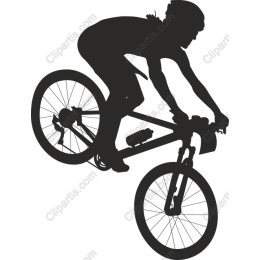 Dynamic Cyclist