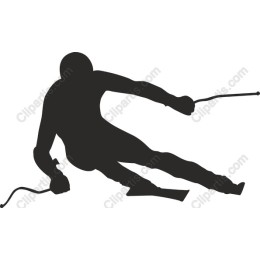 Dynamic Skier