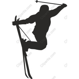 Dynamic Skier