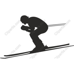 Dynamic Skier
