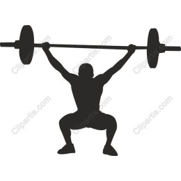 Dynamic Weightlifter