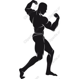 Dynamic Muscular Figure