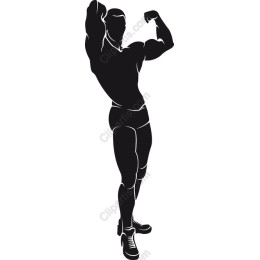 Dynamic Muscular Athlete