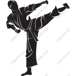 Martial Arts Kick