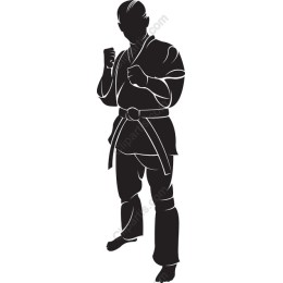 Dynamic Martial Artist
