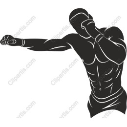 Dynamic Boxer
