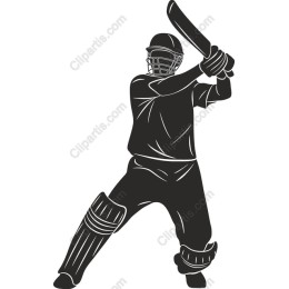 Dynamic Cricket Player