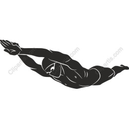 Dynamic Swimmer