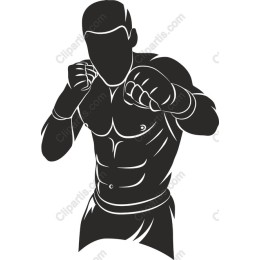 Dynamic Boxer