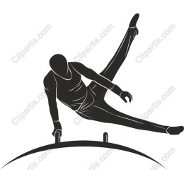 Dynamic Gymnast on Parallel Bars