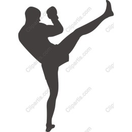 Dynamic Martial Artist