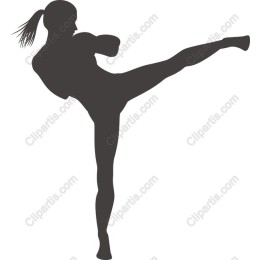 Dynamic Martial Arts Kick