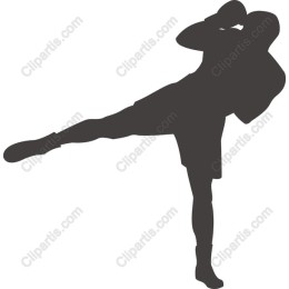Dynamic Fighter