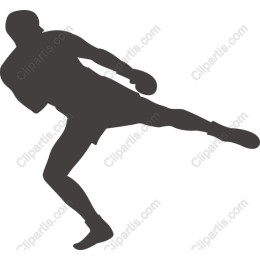 Dynamic Boxer