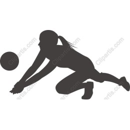 Dynamic Volleyball Player