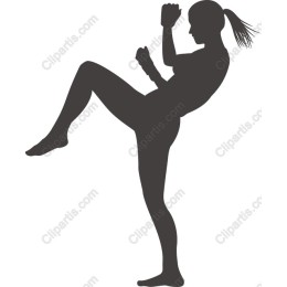 Dynamic Kickboxer