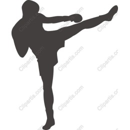 Dynamic Martial Arts