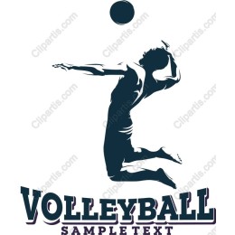 Volleyball Action