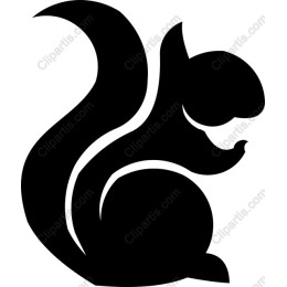 Charming Squirrel
