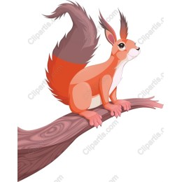 Charming Squirrel on Tree Branch