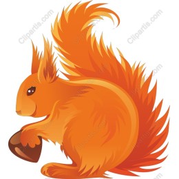 Energetic Orange Squirrel