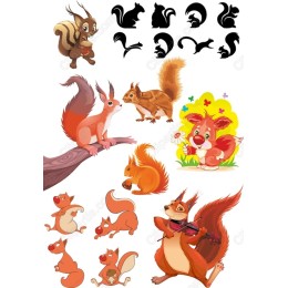 Squirrel Bundle - Adorable