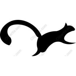 Playful Cat