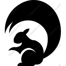 Stylish Squirrel