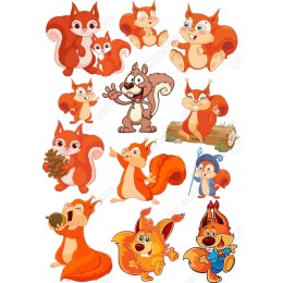 Charming Squirrel Bundle