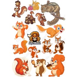 Vibrant Squirrel Bundle
