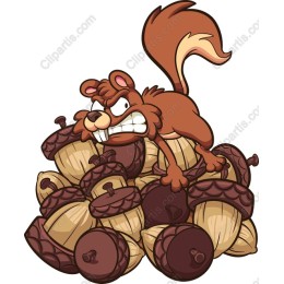 Playful Squirrel