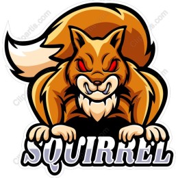 Fierce Cartoon Squirrel