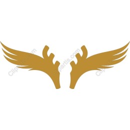Elegant Golden Wings