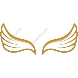 Elegant Golden Wings
