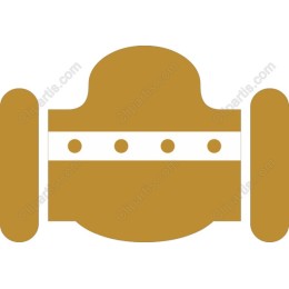 Golden Abstract Belt Buckle