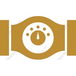 Championship Belt