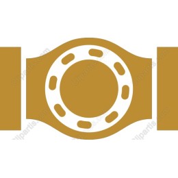 Championship Belt