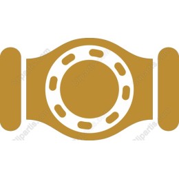 Championship Belt