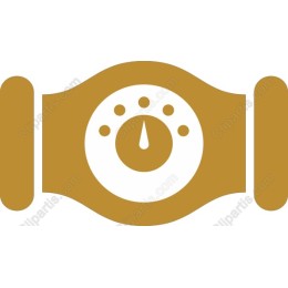Gold Championship Belt