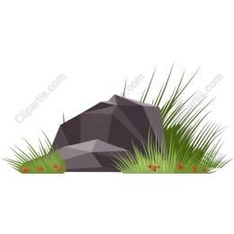 Rock and Grass