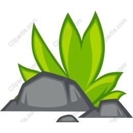 Lush Green Leaves and Rocks